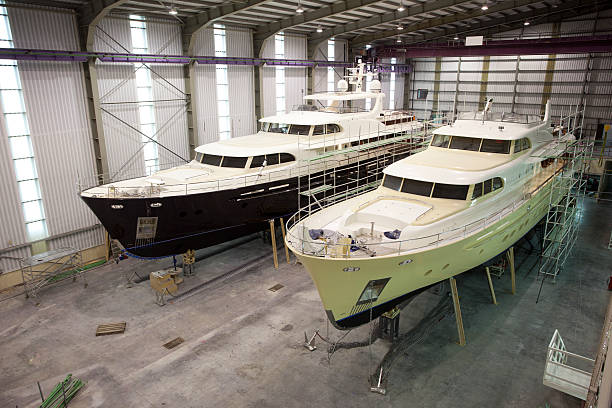 The Custom Kingfisher Model